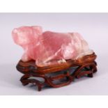 A CHINESE CARVED ROSE QUARTZ FIGURE OF A RECUMBENT OXEN, in a led position upon a carved hardwood