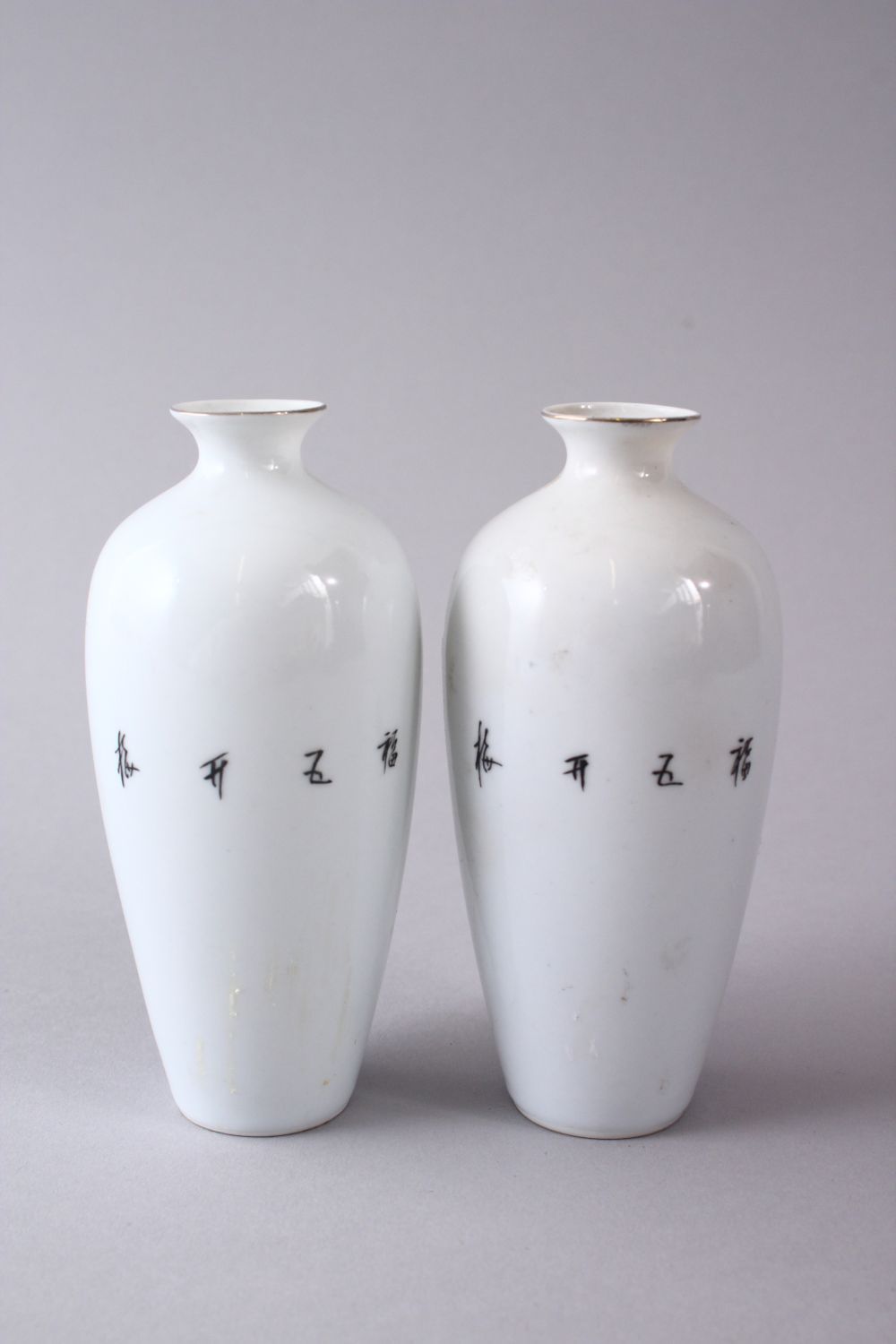 A PAIR OF CHINESE REPUBLIC STYLE EGG SHELL PORCELAIN FAMILLE ROSE VASES, with raised and decorated - Image 3 of 7