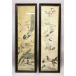 A LARGE PAAIR OF CHINESE WATERCOLOUR PAINTINGS OF BIRDS, the large pictures depicting an array of