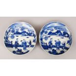 A GOOD PAIR OF 19TH CENTURY JAPANESE BLUE & WHITE PORCELAIN PLATES, each dish decorated in a similar