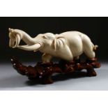 A 19TH CENTURY CHINESE CARVED IVORY FIGURE OF AN ELEPHANT, the elephant holding on to the horn of
