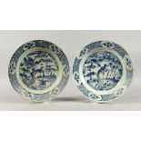 TWO CHINESE WANLI PERIOD BLUE AND WHITE PEACOCK PATTERN SHIPWRECK PLATES. 10ins diameter.