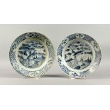 TWO CHINESE WANLI PERIOD BLUE AND WHITE PEACOCK PATTERN SHIPWRECK PLATES. 10ins diameter.