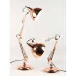 A PAIR OF COPPER ANGLEPOISE LAMPS.