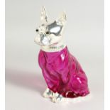 A SILVER PLATED CRANBERRY GLASS CLARET JUG in the form of a French bulldog. 7.5ins high.