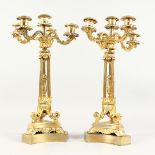 A GOOD PAIR OF LATE 19TH CENTURY GILT BRONZE CANDELABRA, with central candle holder, four