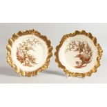 A ROYAL WORCESTER PAIR OF PLATES of silver shape, each decorated with enamels and raised gilding