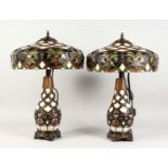 A GOOD PAIR OF DRAGONFLY LAMPS on lit bases in the Tiffany style.