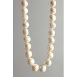 A LARGE STRING OF PEARLS with 18ct gold clasp.