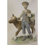 Lladro boy with calf height 26cm