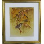Framed watercolour of a wren sitting on a branch 40 cm x 46 cm (size including frame)