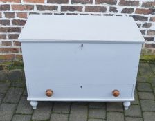 Painted pine mule chest