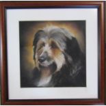 Framed charcoal picture of a dog (possibly a Havanese) signed lower right corner 40 cm x 40 cm (size