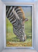 Framed oil painting of a zebra by Mollie Everett Field 30 cm x 40.5 cm (size including frame)