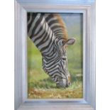 Framed oil painting of a zebra by Mollie Everett Field 30 cm x 40.5 cm (size including frame)