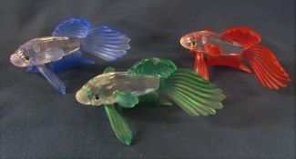 3 Swarovski siamese fighting fish in blue, red and greed L 8 cm all boxed with certificates