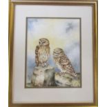 Framed watercolour of two owls by Christopher Hughes (b.1955) signed lower right corner 45 cm x 54