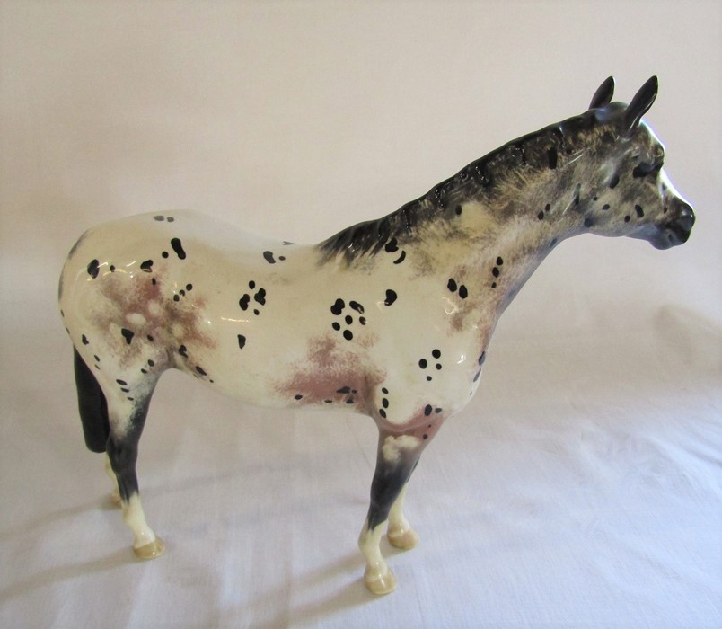 Beswick Appaloosa pony / horse H 20 cm L 23 cm - Image 2 of 2