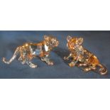 Boxed Swarovski golden shine crystal tiger cub (standing) L 9 cm 1016677 and tiger cub (sitting) L 8