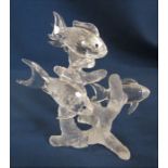Boxed Swarovski school of fish crystal figure 666355 H 10 cm