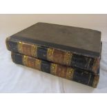 2 volumes of Cassell's Illustrated Family Bible