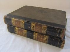 2 volumes of Cassell's Illustrated Family Bible