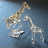 Swarovski Rare Encounters desert glow giraffe 935896 H 17.5 cm and baby giraffe H 14 cm 236717