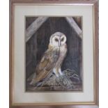 Framed watercolour and gouache painting of a barn owl by K Almond 54 cm x 66 cm (size including