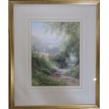 Hilary Scoffield (b.1958) framed watercolour of a woodland path 45 cm x 54 cm (size including