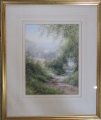 Hilary Scoffield (b.1958) framed watercolour of a woodland path 45 cm x 54 cm (size including