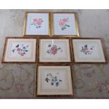 6 limited edition botanical prints inc Halcyon Days signed in pencil by Alastair Gordon Marquess