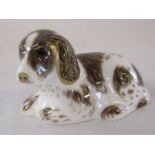 Royal Crown Derby paperweight - 'Scruff' exclusively for the Royal Crown Derby Collectors Guild,