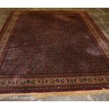Red ground Persian rug 350cm by 258cm