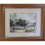 Framed watercolour by Lincolnshire artist John Brookes entitled 'Woodland' 29 cm x  24 cm (size