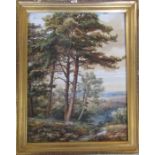 Framed watercolour of a rural scene 28 cm x 35 cm (size including frame)