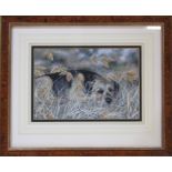 Framed mixed media original painting of a border terrier 'Waiting to Play' by Paul Doyle (b.1964) 66