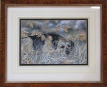Framed mixed media original painting of a border terrier 'Waiting to Play' by Paul Doyle (b.1964) 66