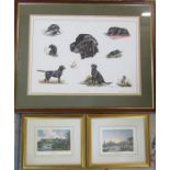 Framed limited edition print 'Field Sketches' of a labrador by Alan Ellison, signed and numbered
