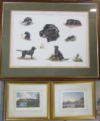 Framed limited edition print 'Field Sketches' of a labrador by Alan Ellison, signed and numbered