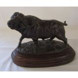 Limited edition bronze of a water buffalo by Kim Brookes signed and dated 1992 no 4/25 L 28 cm H