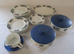 Midwinter alpine blue pattern part dinner service