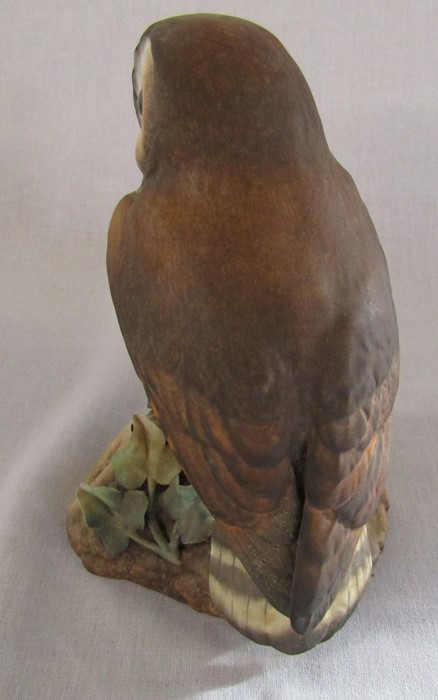 2 boxed Royal Crown Derby owls - brown owl signed D Payne H 14.5 cm and barn owl signed H Weson H - Image 7 of 9
