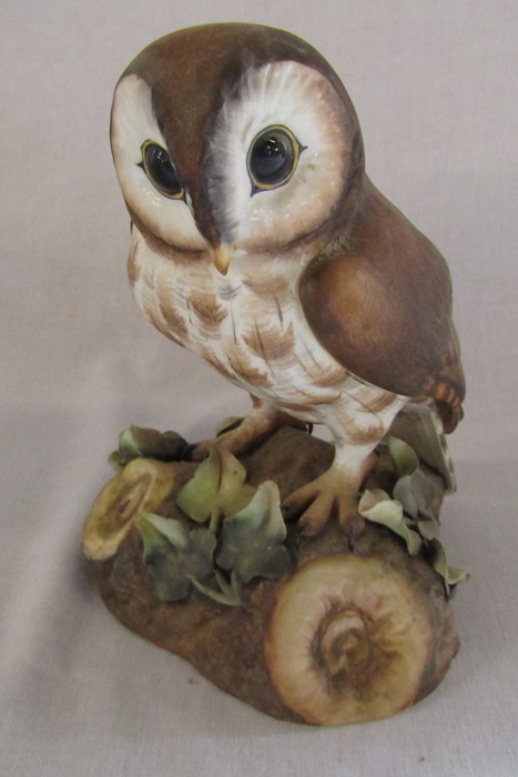 2 boxed Royal Crown Derby owls - brown owl signed D Payne H 14.5 cm and barn owl signed H Weson H - Image 5 of 9