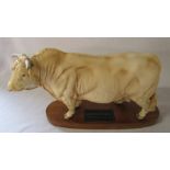 Beswick connoisseur Charolais bull on plinth L 31 cm