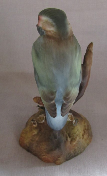 2 boxed Royal Crown Derby kingfisher birds - Australian kingfisher signed J Griffiths H 13.5 cm & - Image 8 of 9