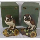 2 boxed large Royal Crown Derby brown owls H 25 cm