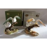 2 boxed Royal Crown Derby birds - yellow budgerigar group signed K Wood and green budgerigar group