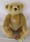 Large Steiff 1906 classic replica teddy bear with growler H 51 cm