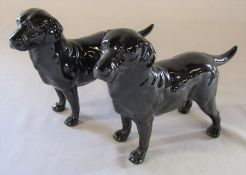 2 Royal Doulton black labrador dogs (1 with damage to leg) H 12.5 cm no 2667