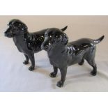 2 Royal Doulton black labrador dogs (1 with damage to leg) H 12.5 cm no 2667